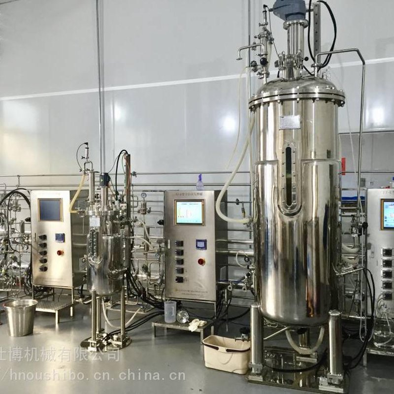 发酵工程：解锁生物技术的魔法